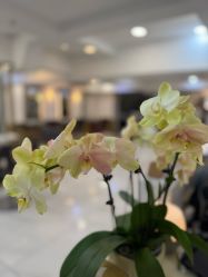 -雅仕 HAIR SALON 美发沙龙