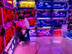 -朝来春花卉市场