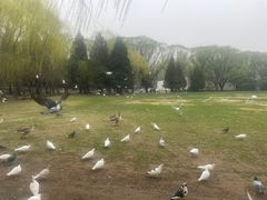 -银树楼(紫玉山庄东区店)