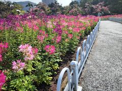 -二沙岛艺术公园