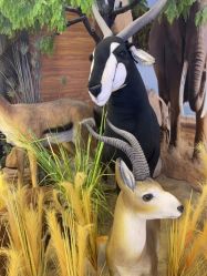 -卡通尼·Safari非洲探索乐园·生日会(金桥国际商业广场店)