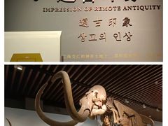 -南京博物院