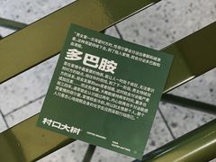-村口大树(长乐路店)