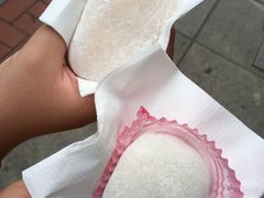 -澳门长洲糯米糍(柯打苏沙街店)
