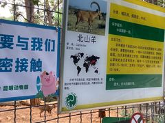 -昆明动物园