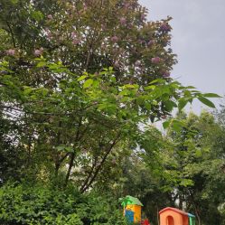 点击看大图 -莲生母婴月子中心(清水河公园店)