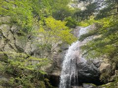 -王顺山国家森林公园