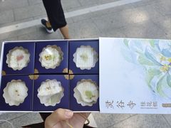 -灵谷景区