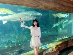 -华夏文旅海洋公园