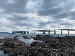 -星海湾跨海大桥