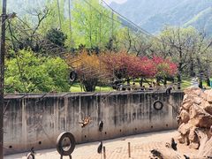 -西安秦岭野生动物园