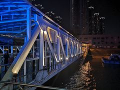 -武汉关码头(轮渡站)