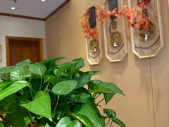 -鸽子窝(宋庄店)
