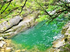 -大鄣山卧龙谷景区