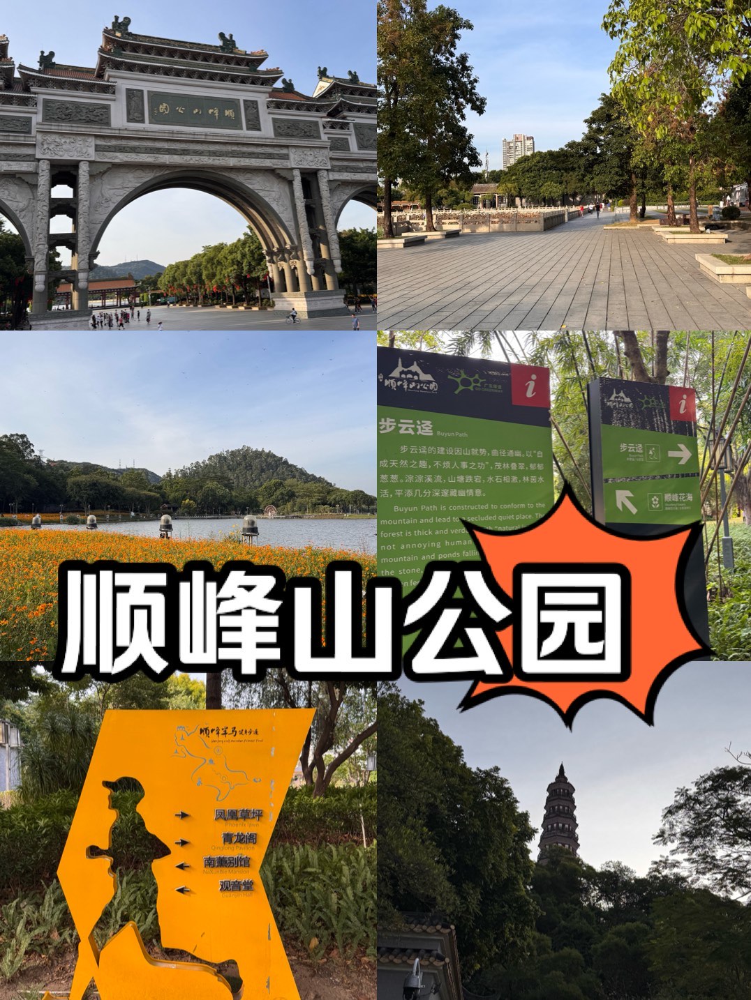 顺峰山公园简介图片