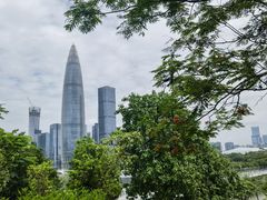 -深圳人才公园