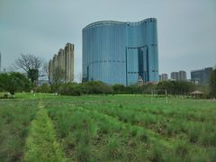 -艾溪湖湿地公园