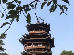 -杭州半山国家森林公园