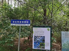 -同里国家湿地公园