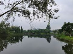 -眉山湿地公园(东坡区)
