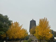 -玲珑塔公园
