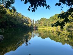 -深圳仙湖植物园