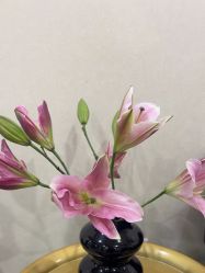-北京炫美医疗美容