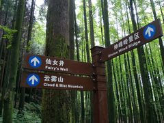-山王坪喀斯特国家生态公园