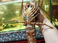 -巽寮印象美食部落餐厅·海鲜·地方特色菜(惠州体验店)