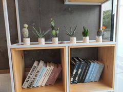 -CoCo都可(大华二店)