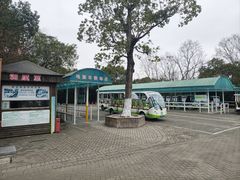 -上海海湾国家森林公园