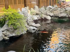-鲤院·新中式美学·庭院餐厅(夫子庙店)