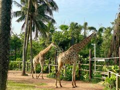 -海南热带野生动植物园