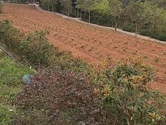 -中国香山·寿香谷
