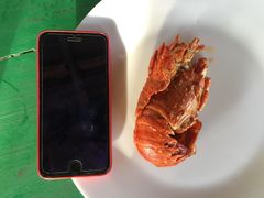 -Green Lobster Waskaduwa Seafood Restaurant