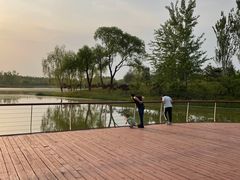 -东郊湿地公园