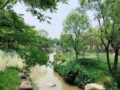 -牛岗山公园