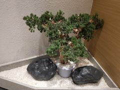 -兰岛广场(白沙路店)