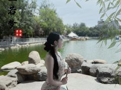 -莲湖公园