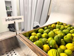 -introlemons(北京西单更新场店)