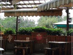 -泰合素食(双流店)