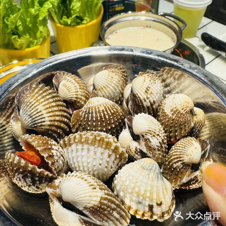 香港闺蜜来深直奔这里吃海鲜🦞性价比简直了！