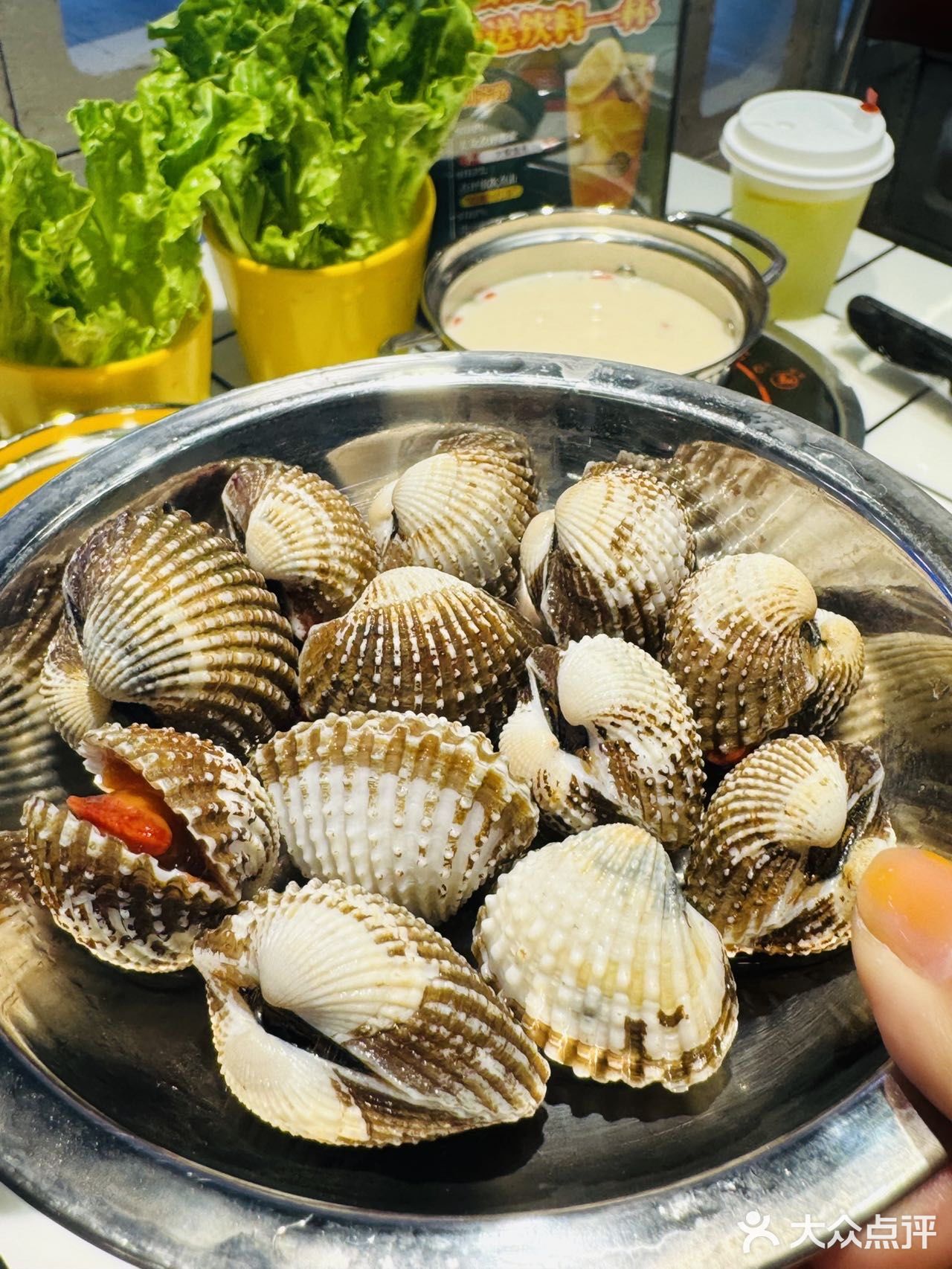 香港闺蜜来深直奔这里吃海鲜🦞性价比简直了！