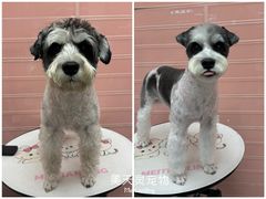 -FAELING PETS美天灵宠物(合生汇店)