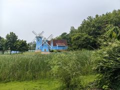 -宜兴龙背山森林公园