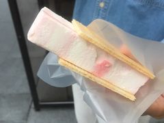 树莓香草-詹爷爷乌节路街头冰淇淋