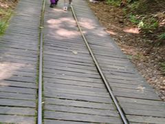 -五营红松林海景区