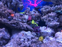 -成都浩海立方海洋公园