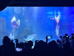 -江和美海洋公园