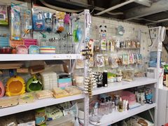 -钓仓鼠(洋桥北里小区店)